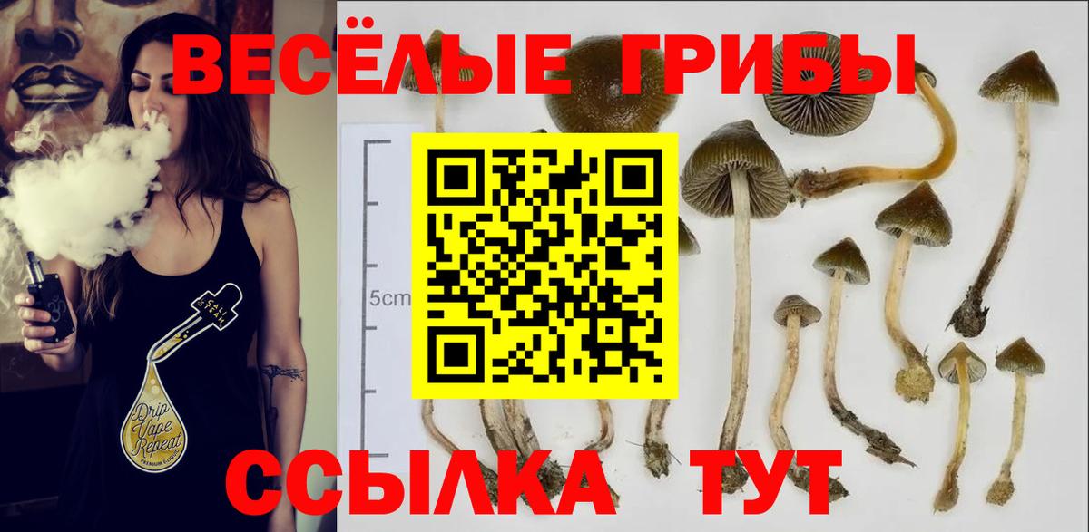Псилоцибиновые грибы Psilocybe Алатырь